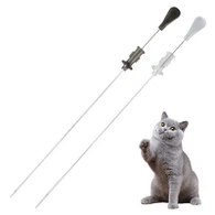 Kasside kuseteede kateeter